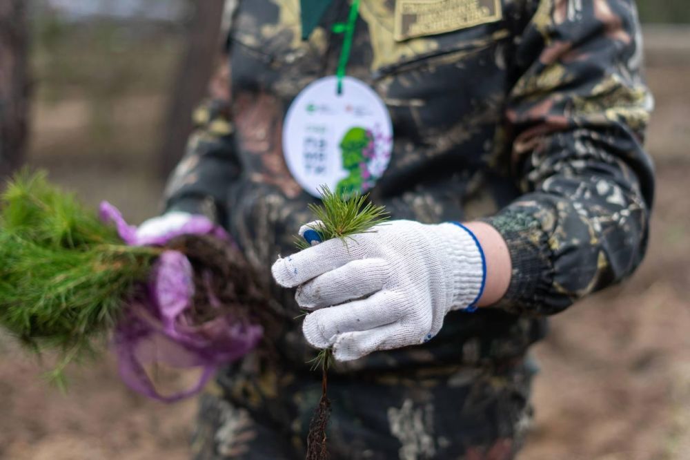 ��������� �������������� �������� ���������� ���� ��������� � ���