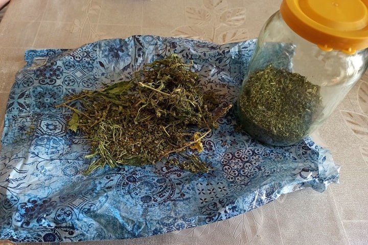 ��������������� �������� ���������� ������ ���������� � ������������� ������