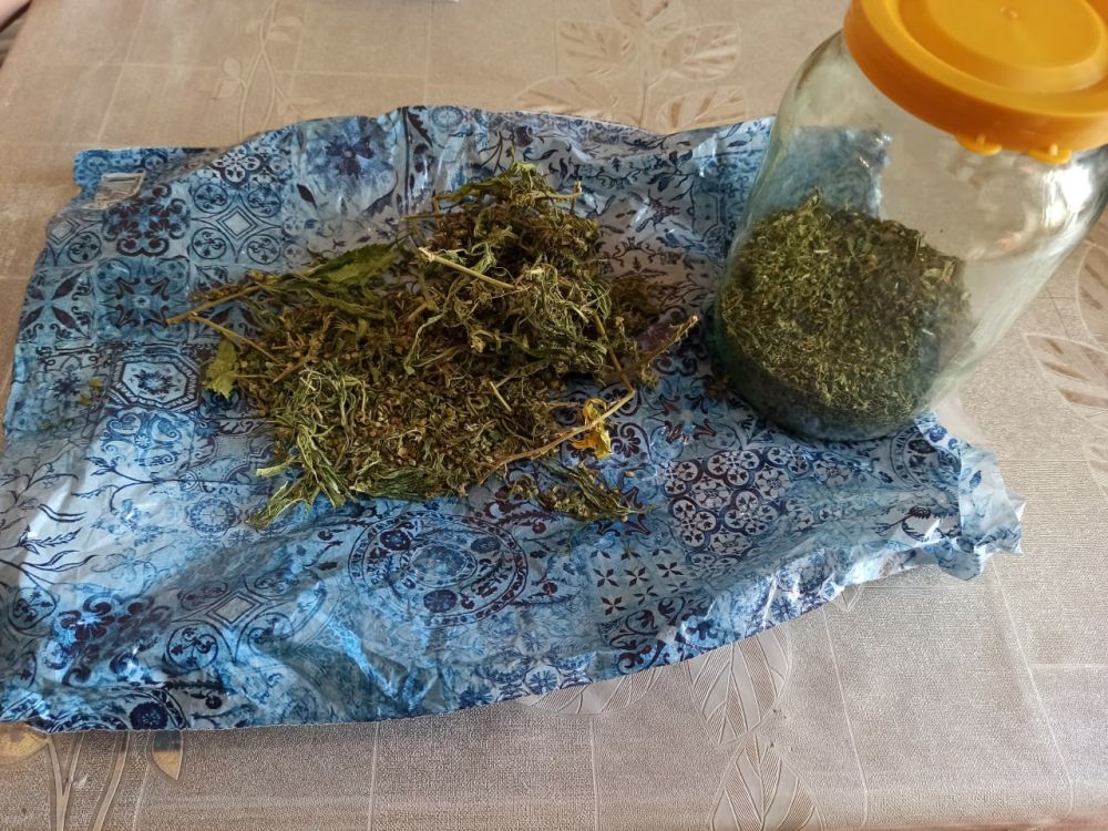 � ������������� ������ ��������� ��������� ������ ����������� ������� ������������� �������