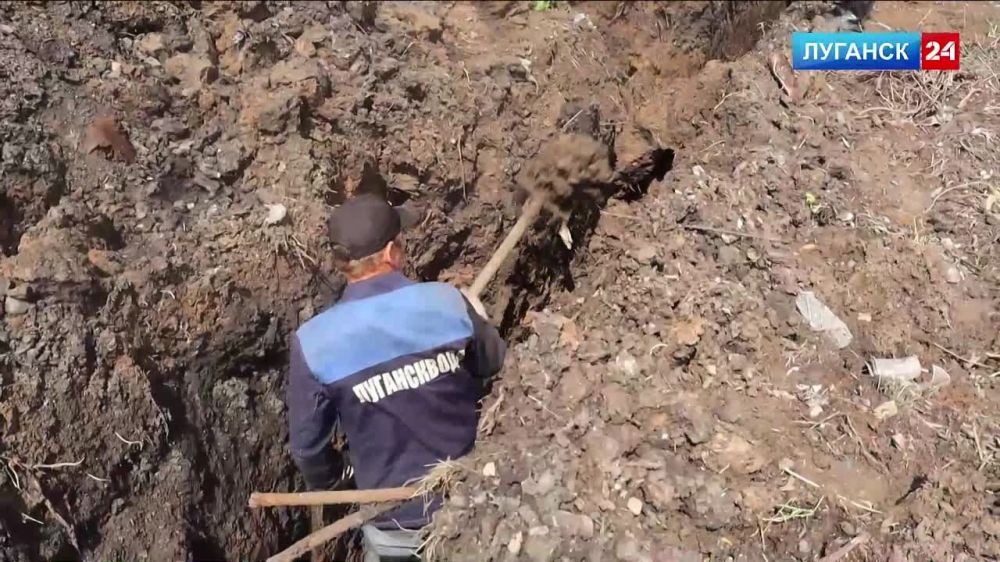 ������������ ��������� ����������� ������ ���� �� �������� �������� � �������� �������������� 20-21 ����