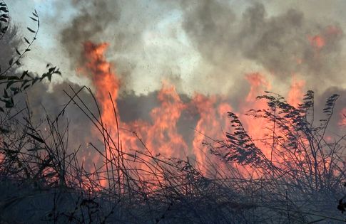 ��� ��� �� ����� ������������� 17 �������, �� ��� 14 - �� �������� �����������