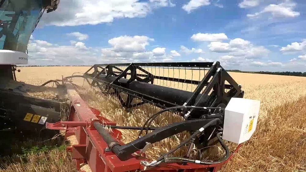 В Республике официально стартовала уборочная кампания ранних зерновых и зернобобовых культур