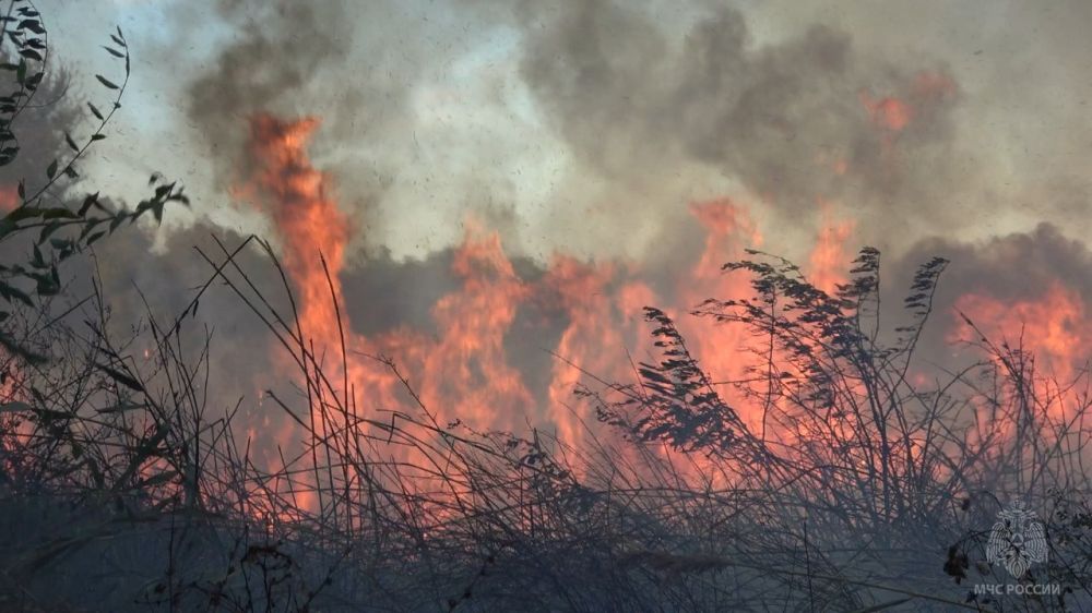 �� �������� ����� �� ���������� ��� ������������� 14 ������� �� �������� �����������