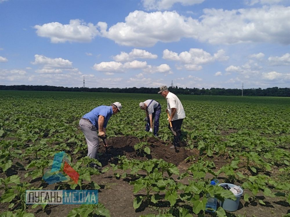 ���������� ������� ��������������� ������ ������ �������� ���������� ��������� ���������� ���� ������ ��������������������� ���������� � ������������� ������