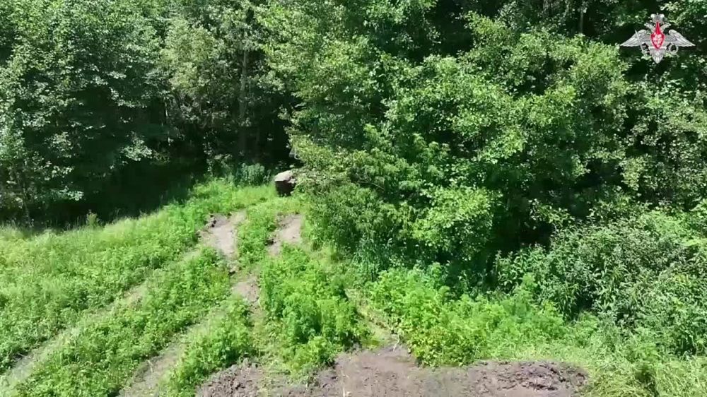 ���������� �������� ������� ������������� �� ��������������� �����������