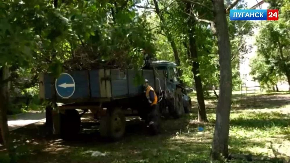 � ���, ��� ������������ � ������� ��������, �������� � ����� ������� ��������� �������� ������ �� ���������� �������� 24�