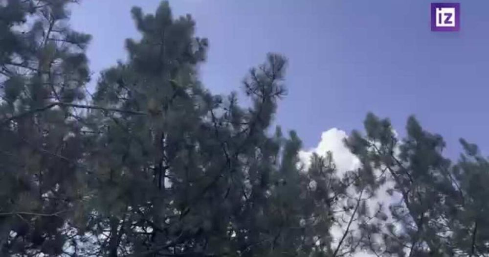 ������� "������" ������� ������� ��� ����� � ����� ��� ����������