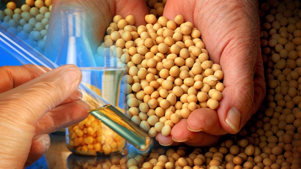 ������� ����������� ������� ��� ����� �������������������� ��������, � ������� �������� ������� ��� �������� � ���� � 1 �������� 2023 ����