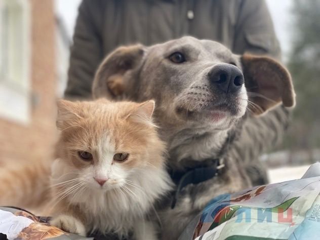 ������� ������ ��� �������� ����� ���: