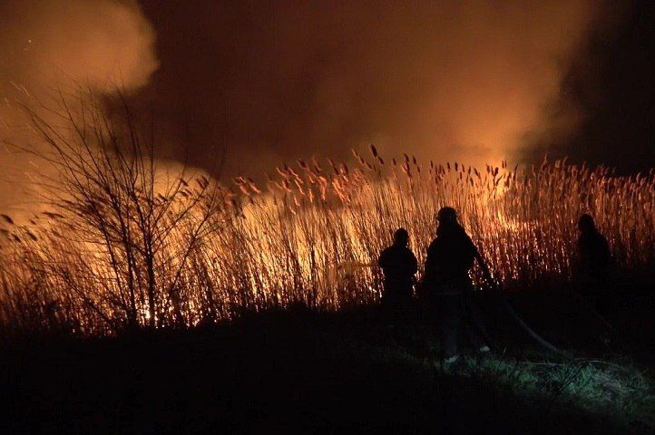 �� ���������� ��� 19 ���� �������� ����� 8,5 �������� ����� �����