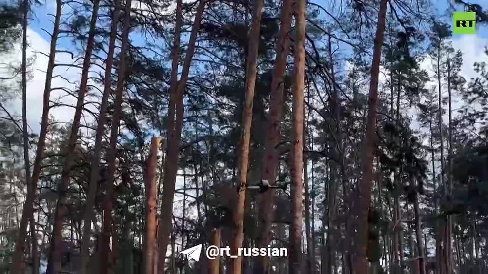 ����� � ��������� ��� ��������� (���): ���� ���������� � ���������� ��������� �� ������� ����������