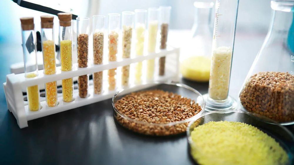 ����� ��������� ������������ �������� ����� �������������������� ��������