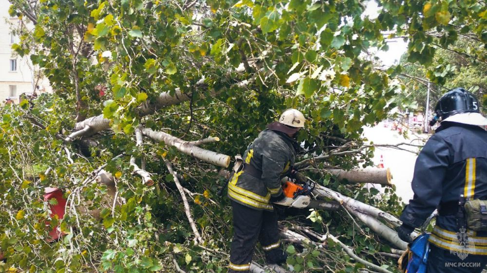 ���������� ��� ������� ���������� �� ���������� ������, ������� ����� �� ����� ����������