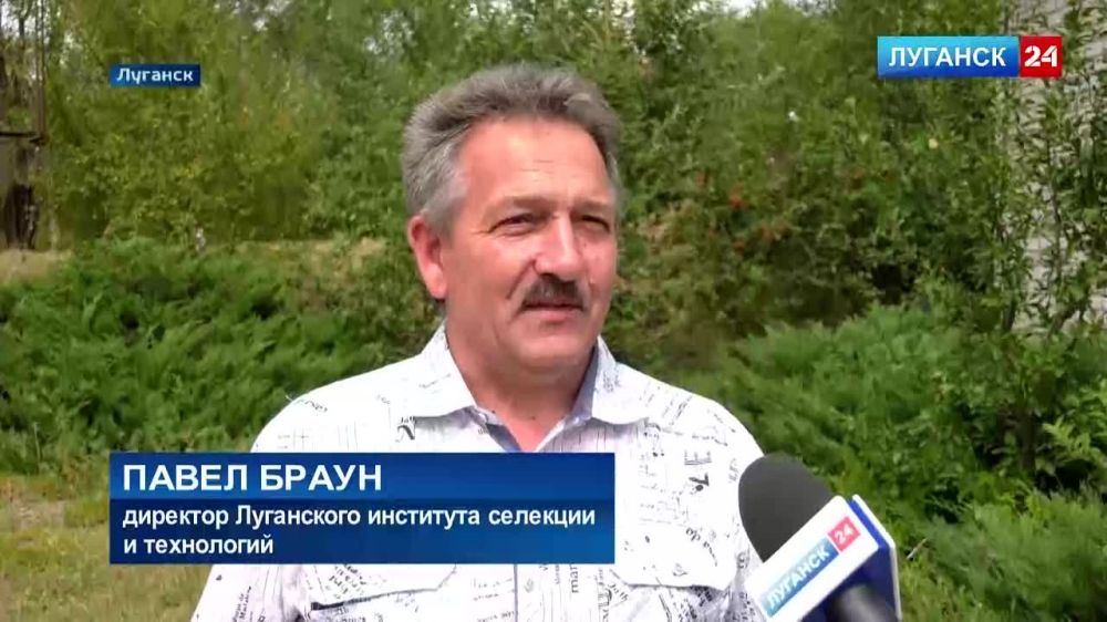 ���������� � ������ ����� ���������� �����ǻ ������� ������ � ��� ��������� �����