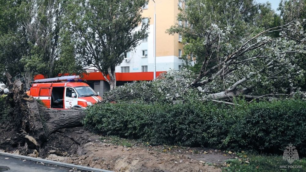 � �������� ������ ����� �� ����� ����