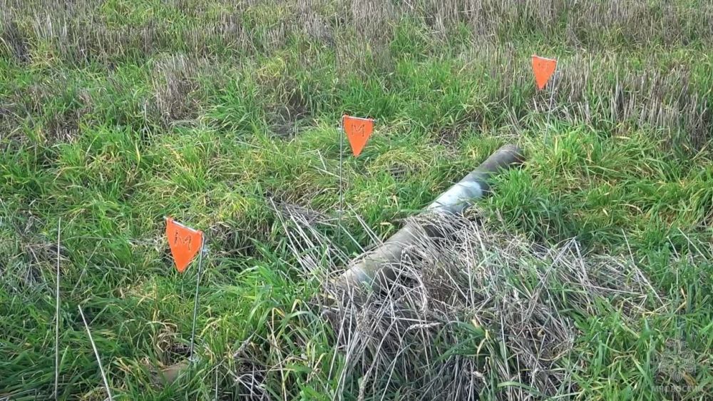 ������ �� ��� ������ �� ��������� �������� ���������� ���������� ������ �� ��������������