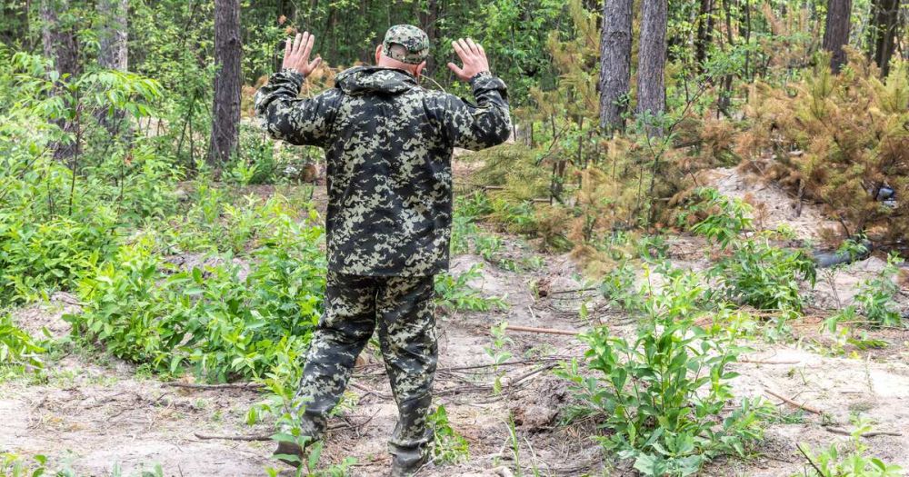 ���������� ������� �������� 13 ���� ��� � ����� � ���� 40 �������