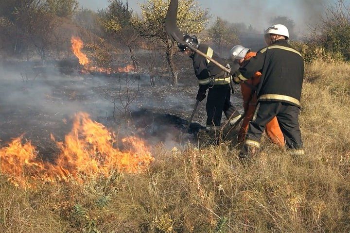 ��������� ��� �������� � ������������� ������ ����� �������� ��������