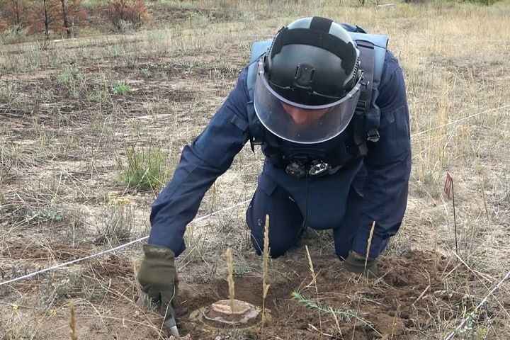 � ��� � ������ 2023 ���� ����������� ����� 8,2 ����� ������������� ���������