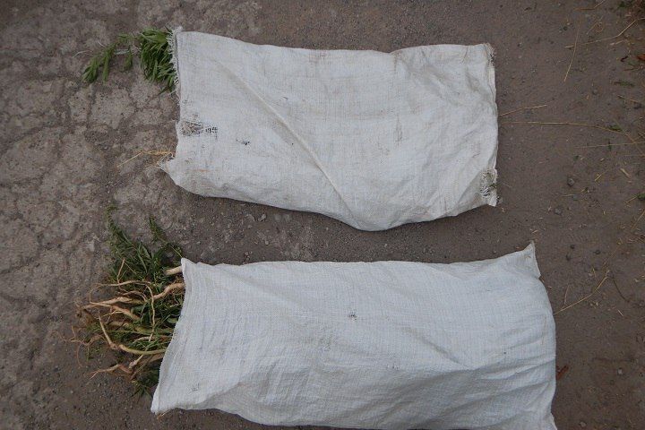 � ������� ������������� ������ ������ 46 ������ �������