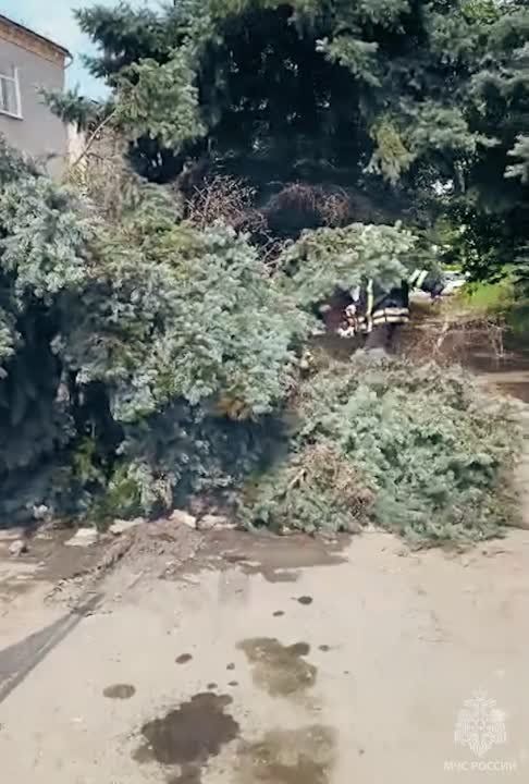 ���������� ��� ������� ���������� �� ���������� ������