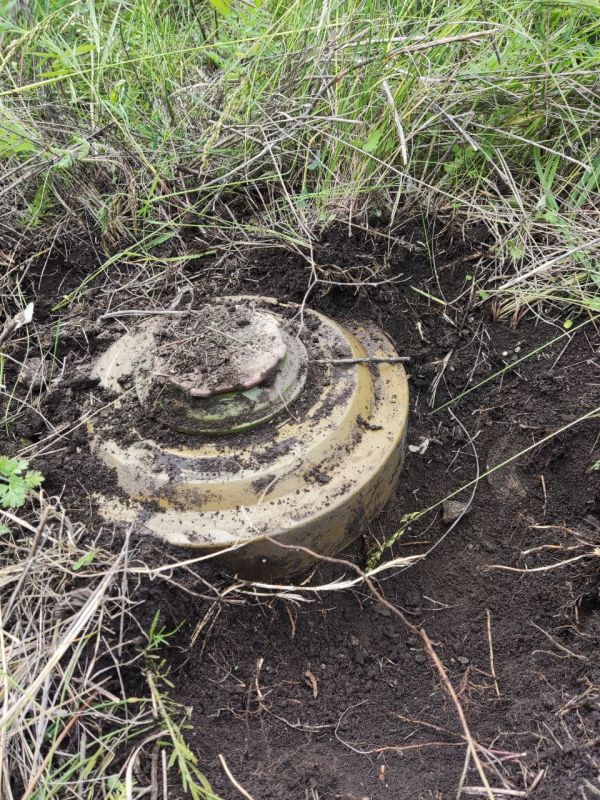 ��� ������ ��� ����������� ���. � ������ ���������� ������������� ��������� ���������� ��������� ��� ����� � �������� �� ���������: