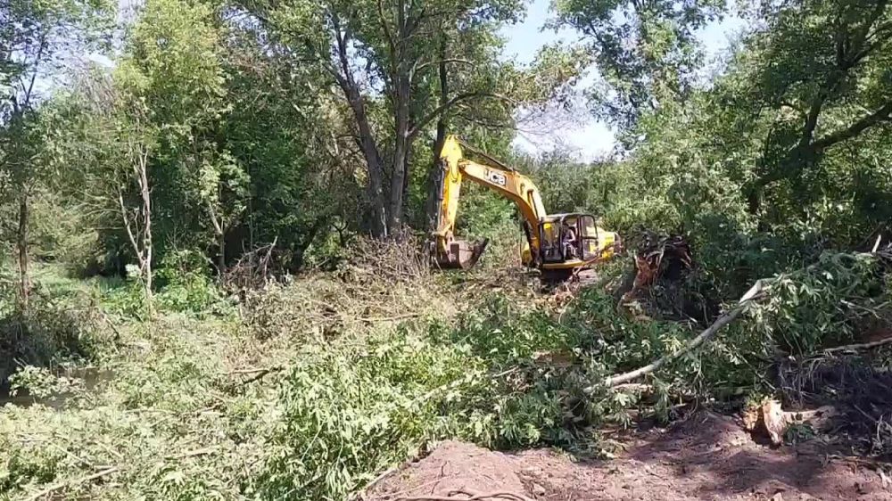 ����������� ������� ����������� ������� ��������� ����������� ������������� ���������� � ��������� ����� ���� ����, �������� � ������������� ������ ������� ���