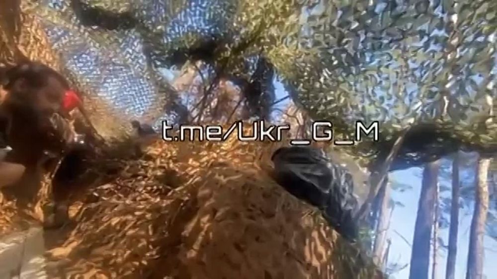 �������� �����: ��������� �������. ����� ��� ������ ���������. ������� ��� � ������ "���-����"