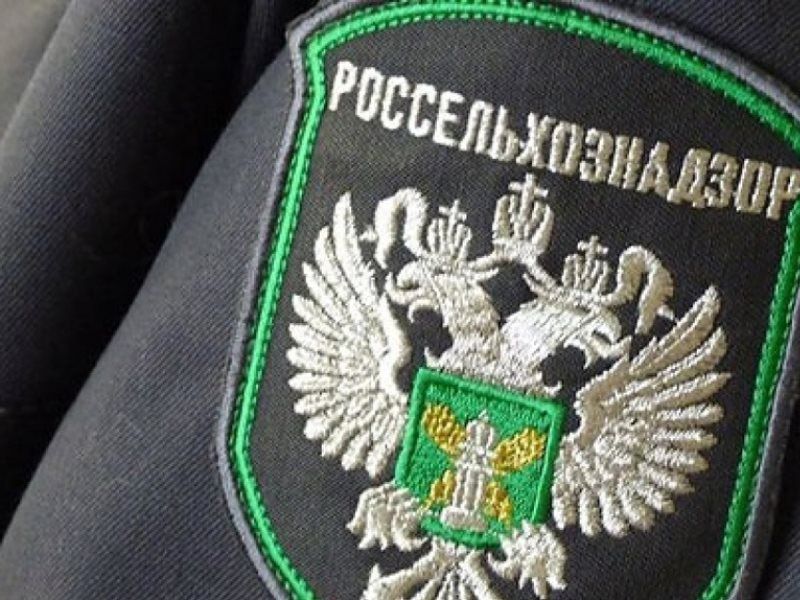 ����������� ����������������� �� ��� � ������ ������� ���� ��������� ������������� ����� ������� ���� �� ���������� ������ �������