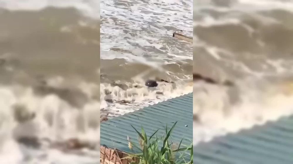 � ����� ��� ������� ������� ��������� ������� ����, ������� ����� ���������� ��� �������