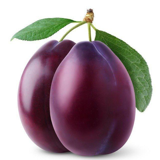 ����������� ����� � ��� ���� �� ��������� ��������-������� � ��������