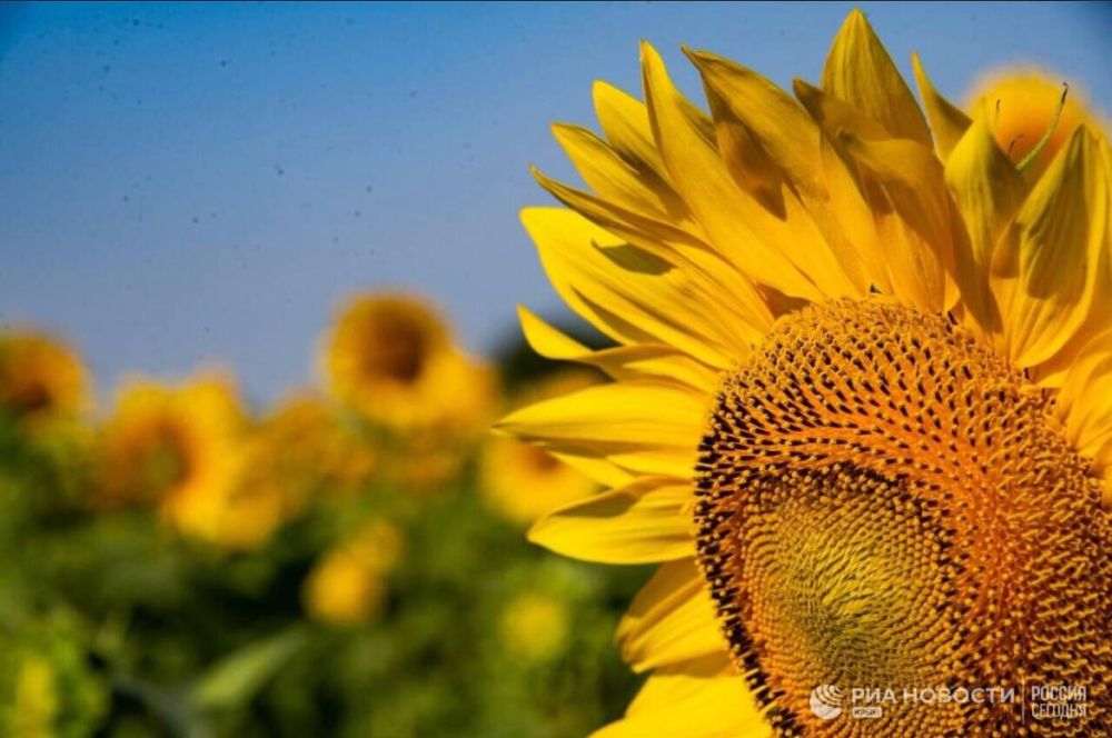 ������ �� ����� ����������� ������