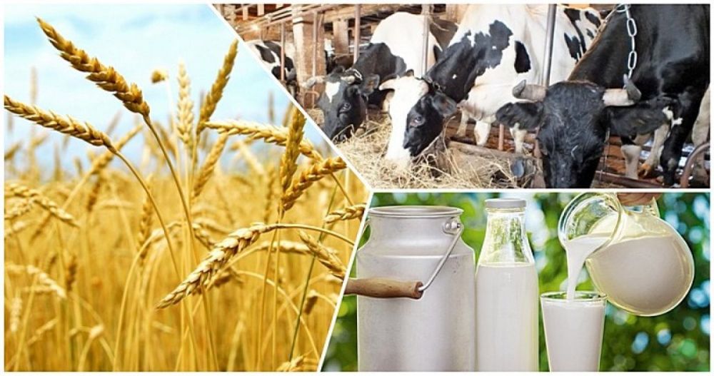 �����. ������������� ��� � ������ ��������� ���������-�������������� �������� ���������� ������� ������������� "� ��������������� ��������� �������� ��������� ���������, ������� � ���������������� �������������� � ��������� �������� ����������"