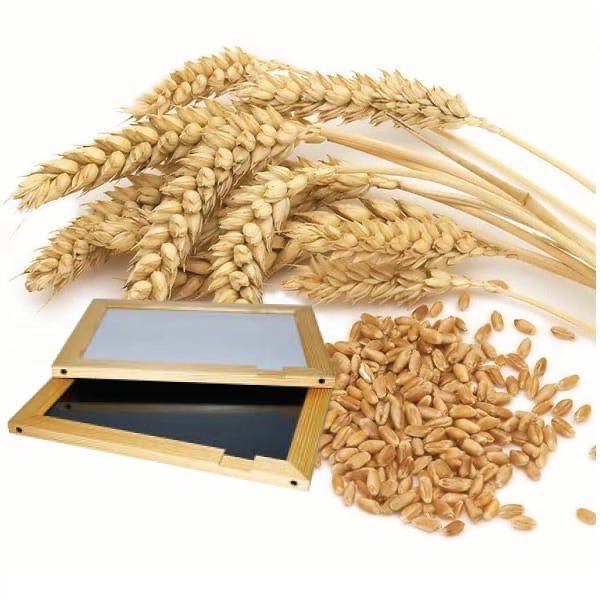 ������ ����� ����� ������ ������ �����������