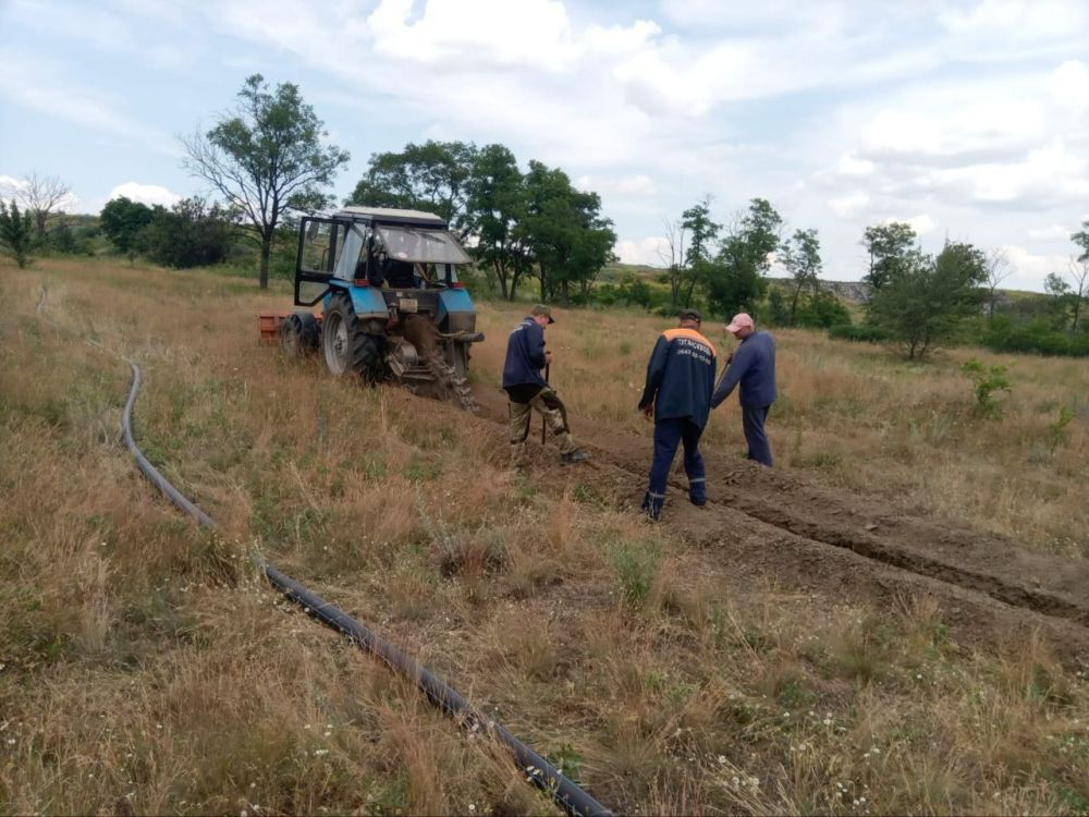 ����������� "�����������" ����� ������ ��������� ������������� ���� � ������� ����