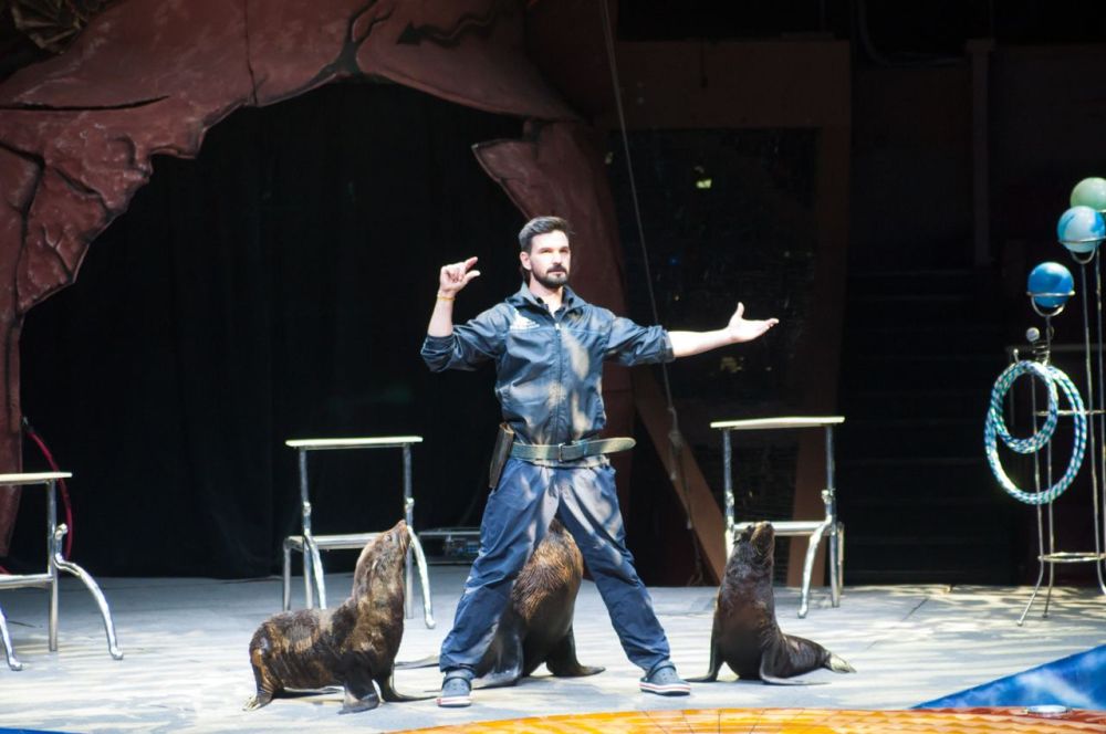 ��� ������ � ��������� ����� �������� ������� �� ���� ���������!