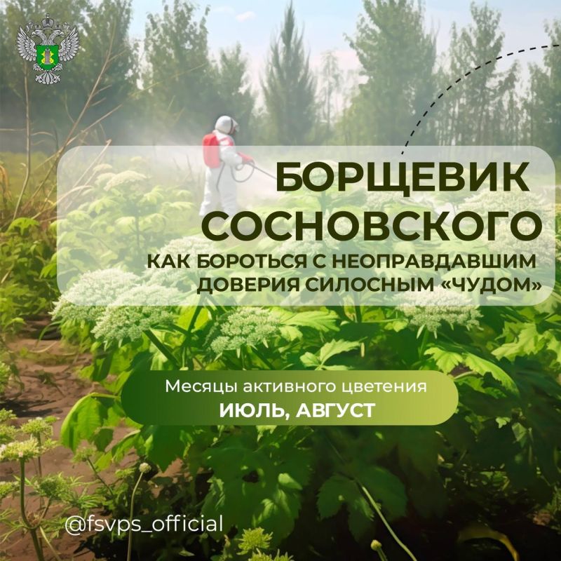 ���������������� ����������� � �������� ������ � ���������� �����������