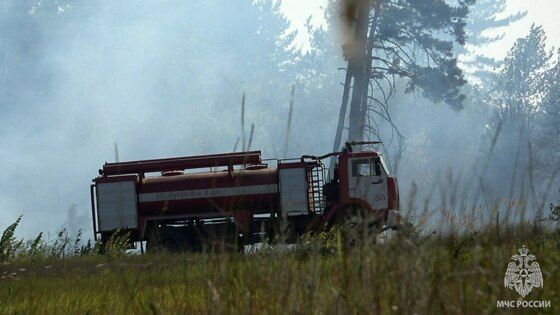 ����� ��������� 10 �� ����� ����� � ��������� �������� ���� � ��������-��������� ������