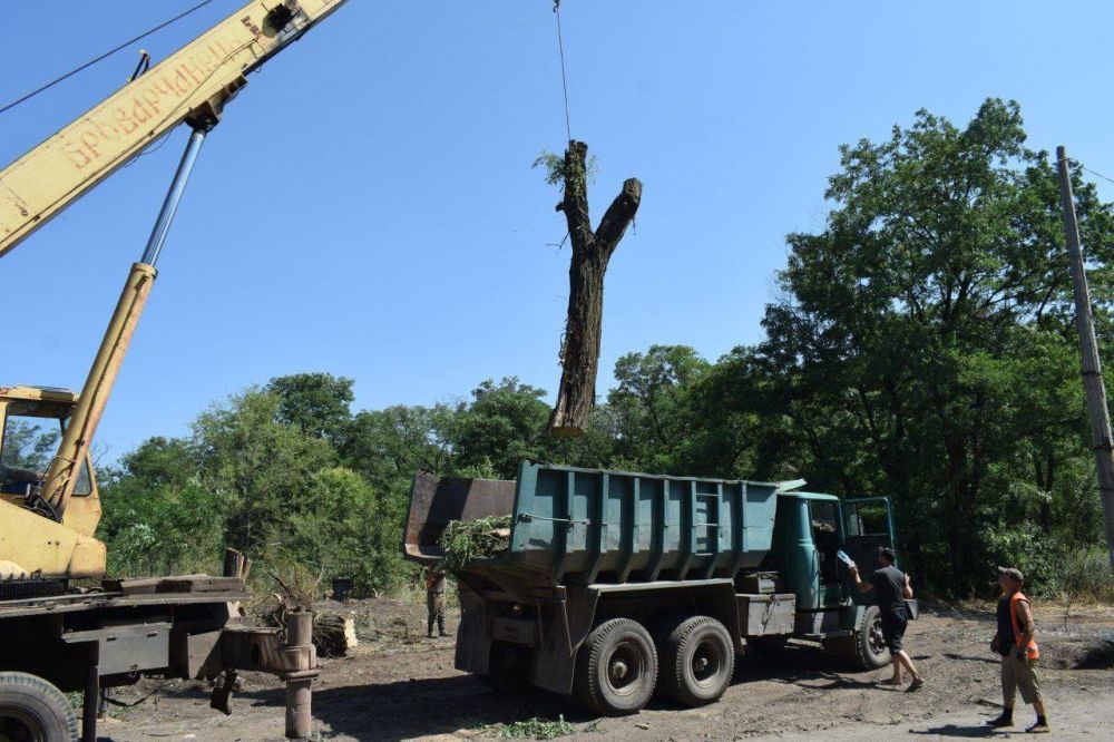 На городских дорогах Первомайска начали укладывать новый асфальт, сообщил мэр города Сергей Колягин в своем Telegram-канале