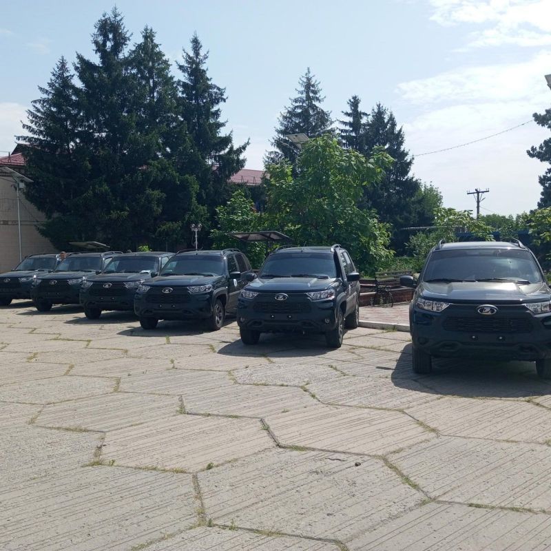 ������������� ������� ��������� 12 ����������� ��������-���������� ������