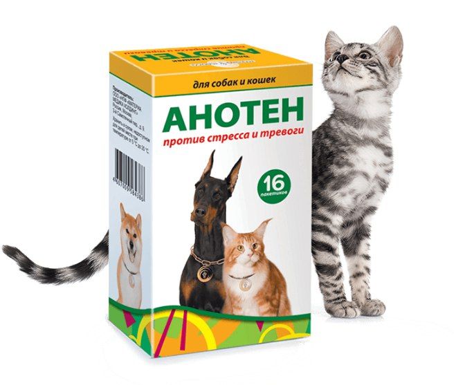 � ������������� ��������� �������������� ��������� ��� ������������� ����������