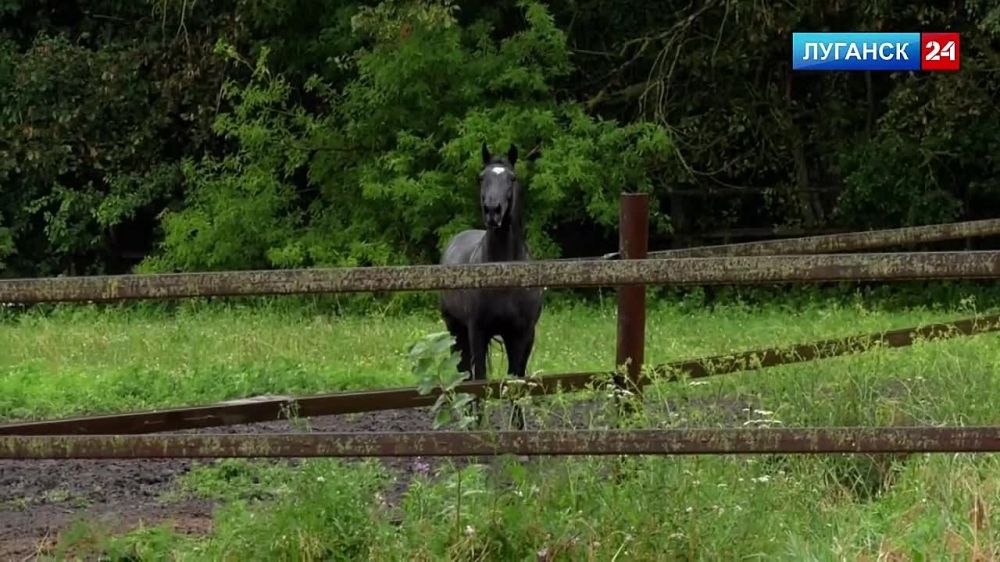 ������ ������ ���������� �������� ����������� ����� �� ������� �������� ������