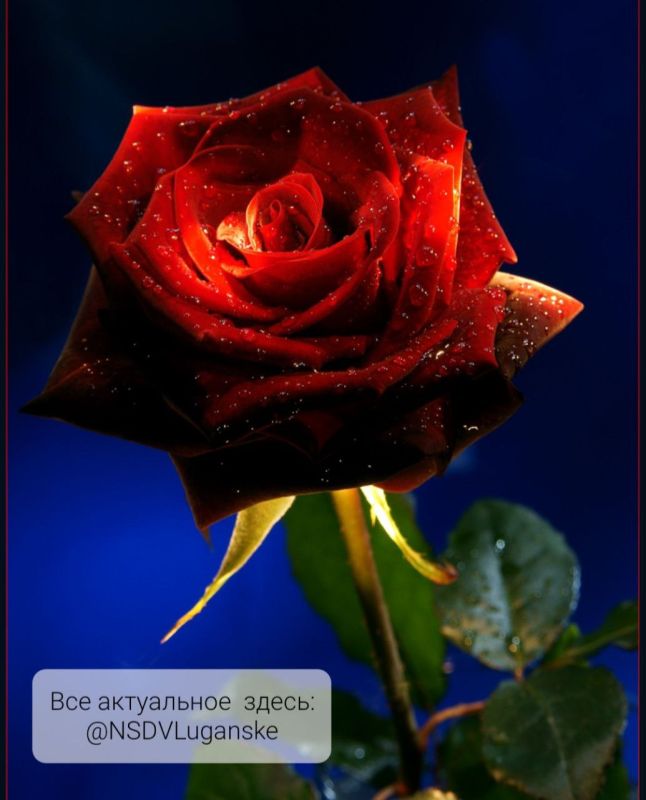 ������ ����, �������!. � �������� ������� ����������� ������ �� �����, ���� ��� ����� ����� �����. ��� �������