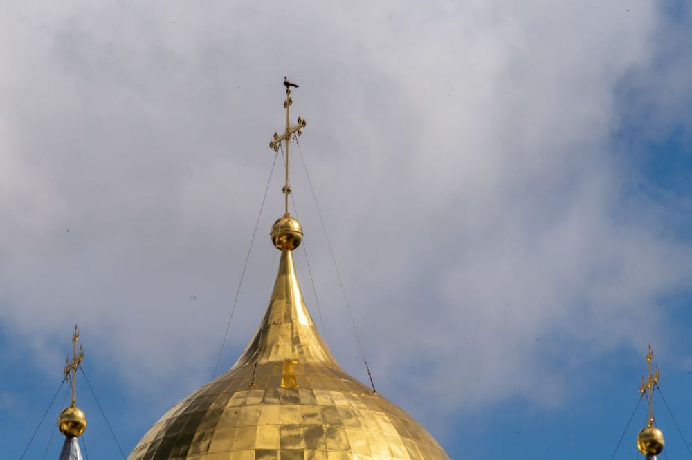 � ��� ����������� ����� 20 ����������� ������