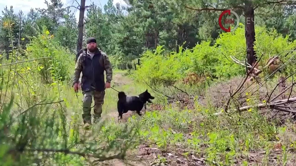 ������ � ���� ������ �� ������ � ����������� ������������� ��������� �� ������ � �������������� ����� ����������� �����