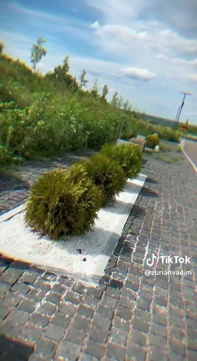 ����� ������ �����: �������� ����� ����� � ������� ��������� ����� �������������