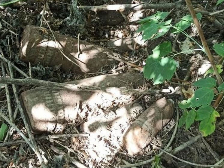 ������ ��������� ������ ����������� ����� ����� ���� 14 ��������