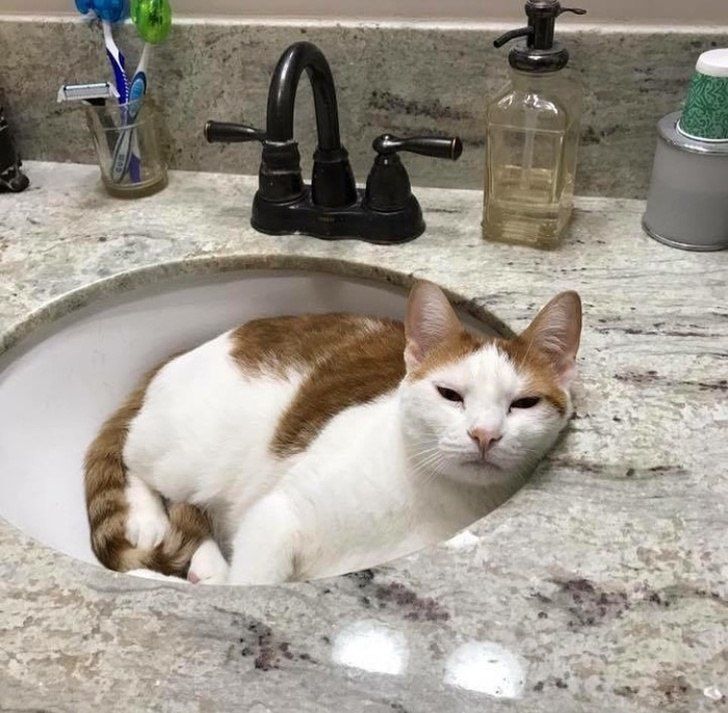 ������ ���� �� ��������� ������� ���������� ������ ������������ �������