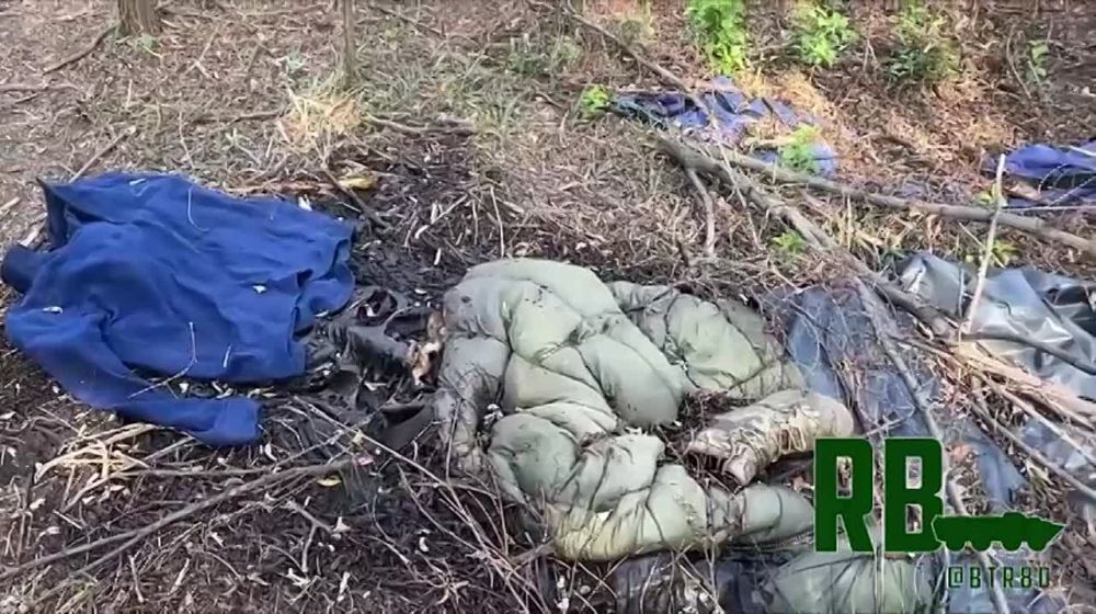 ���������� �� �� �������� ����������� ������� 25 ������� ��� �� ��������������� �����������