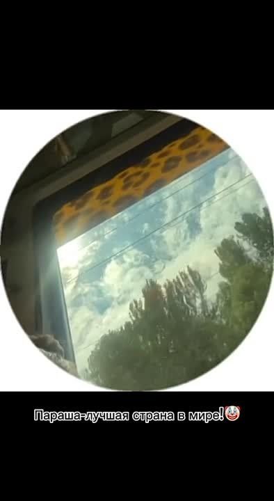 ������-�� ��� �����������? ������ �����!